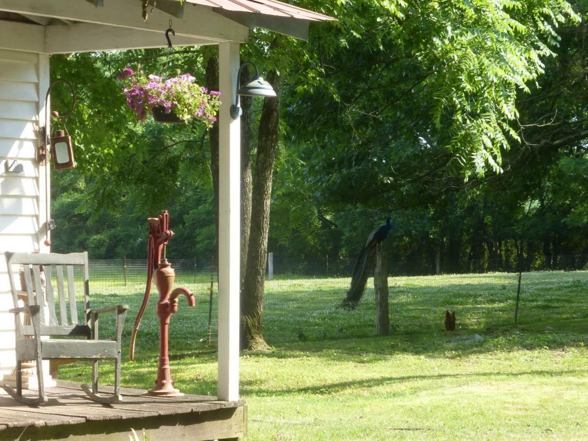 Mulberry Lavender Farm And B&B Dış mekan fotoğraf