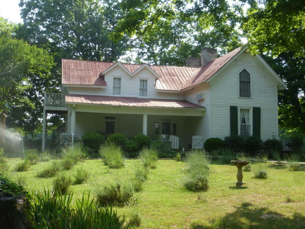 Mulberry Lavender Farm And B&B Dış mekan fotoğraf