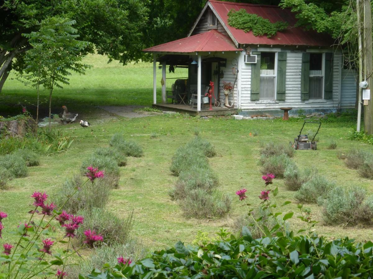 Mulberry Lavender Farm And B&B Dış mekan fotoğraf